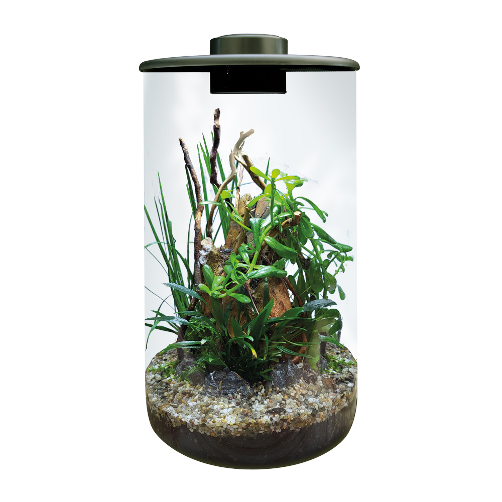BioArt Cylinder 285 – Terrarium 4 L – Image 2