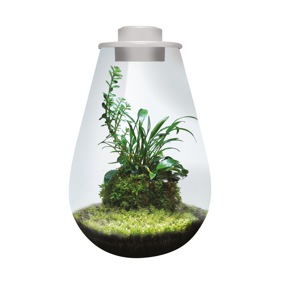 BioArt Drop 285 Blanc – Terrarium 5,1 L – Image 2