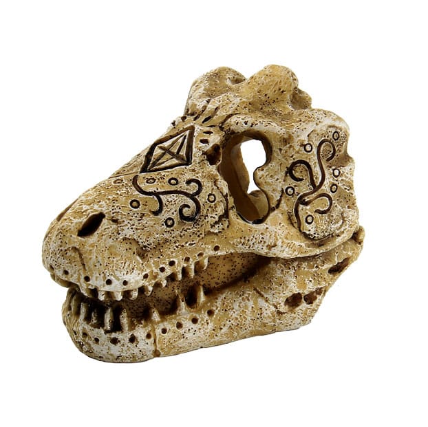 Crâne de T-Rex S – 4,6 x 6,9 x 5,5 cm