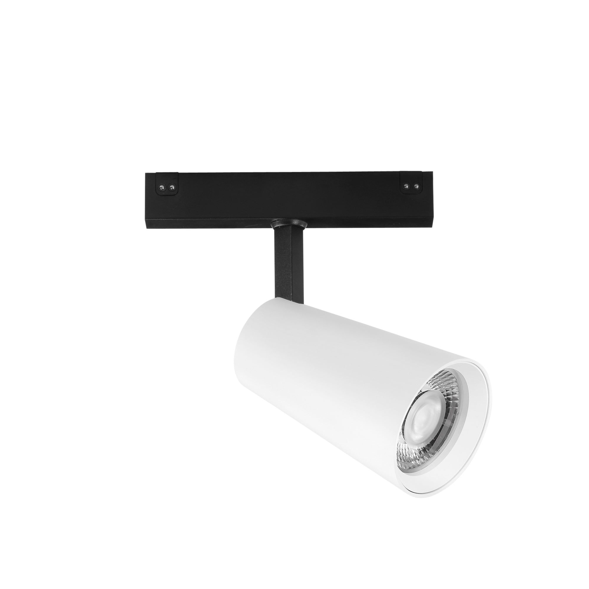 Luminaire sur rail DAVINCI 48V en aluminium blanc 20W lumière chaude 3000K