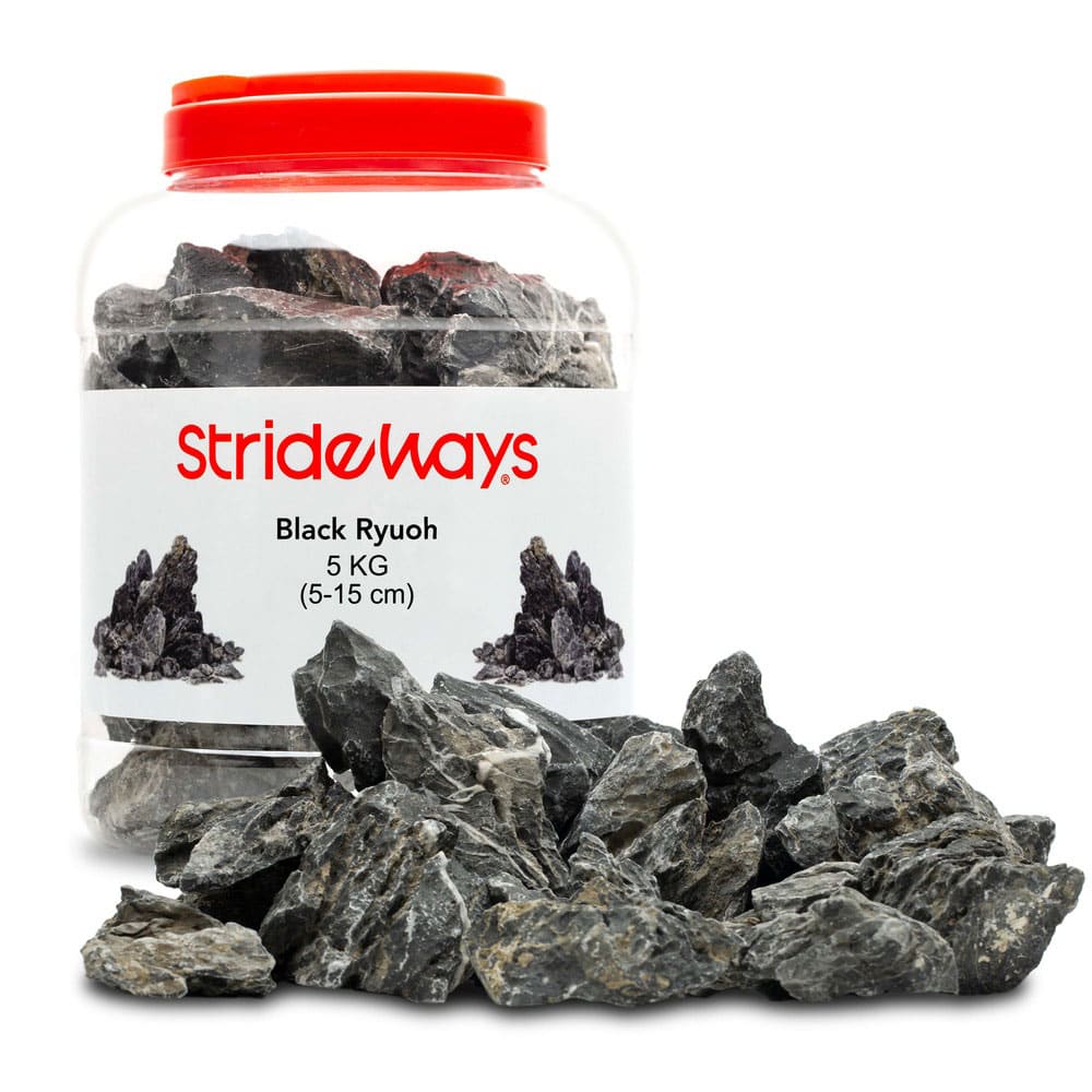 Strideways Black Ryuoh – Bouteille de 5 kg