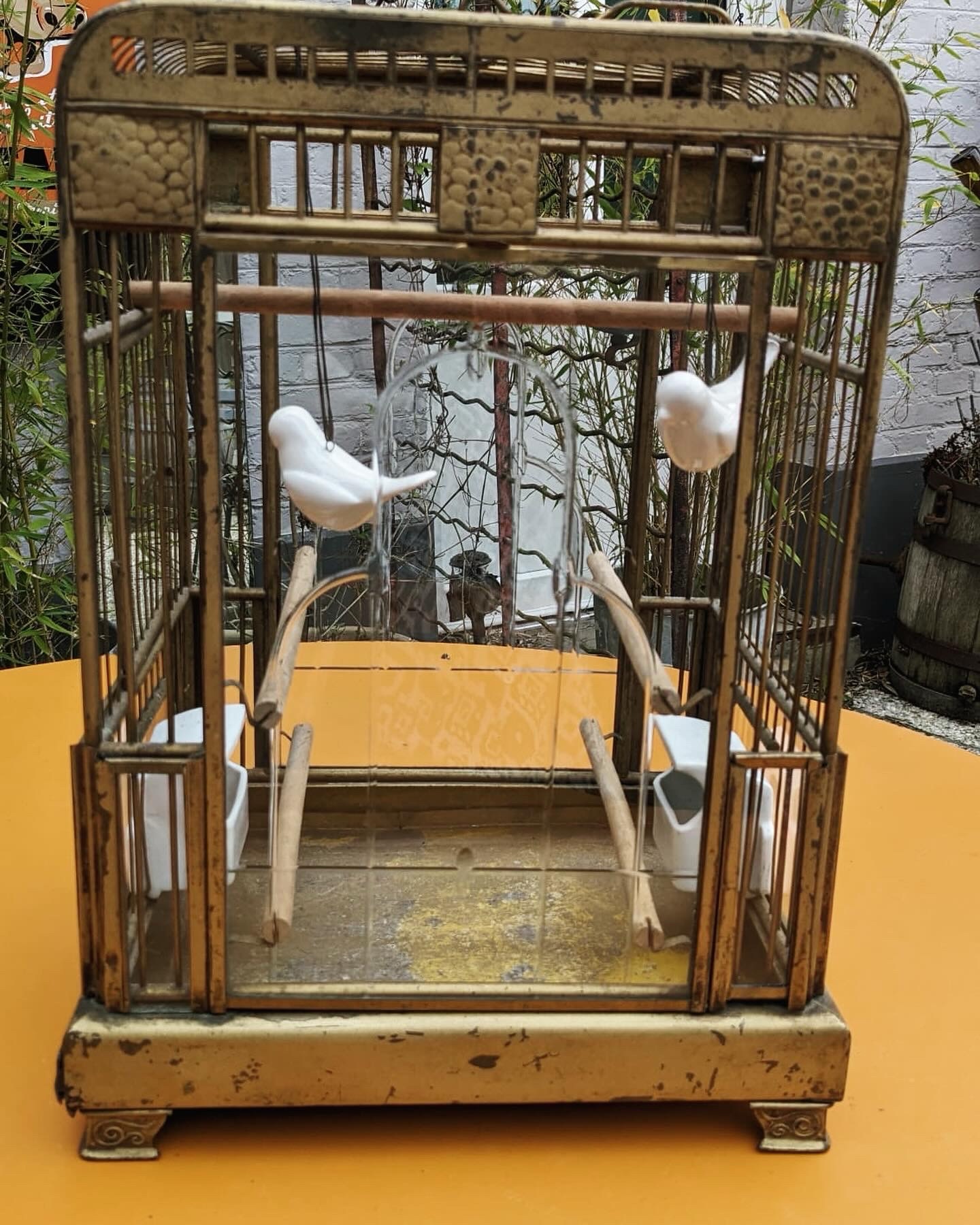 Cage Oiseaux – Image 9