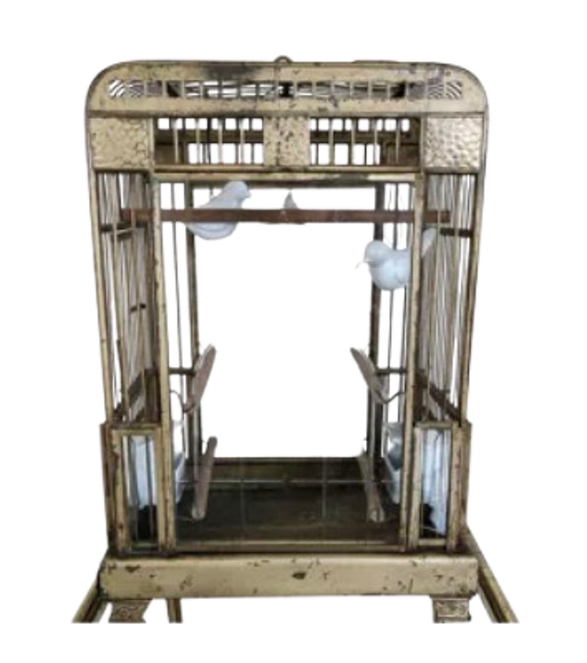Cage Oiseaux